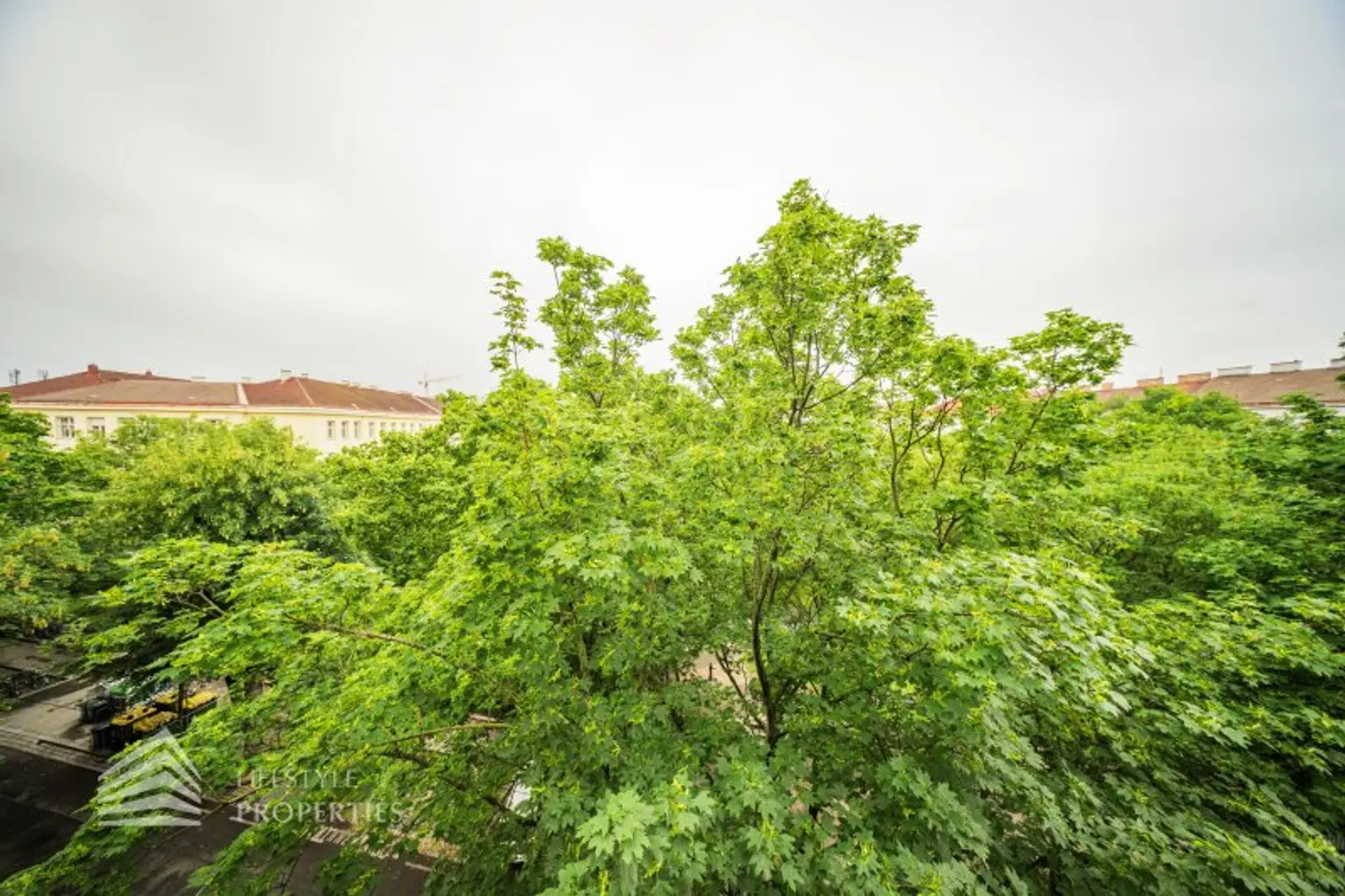 Helle 2-Zimmer-Stilaltbauwohnung, Nähe Augarten!