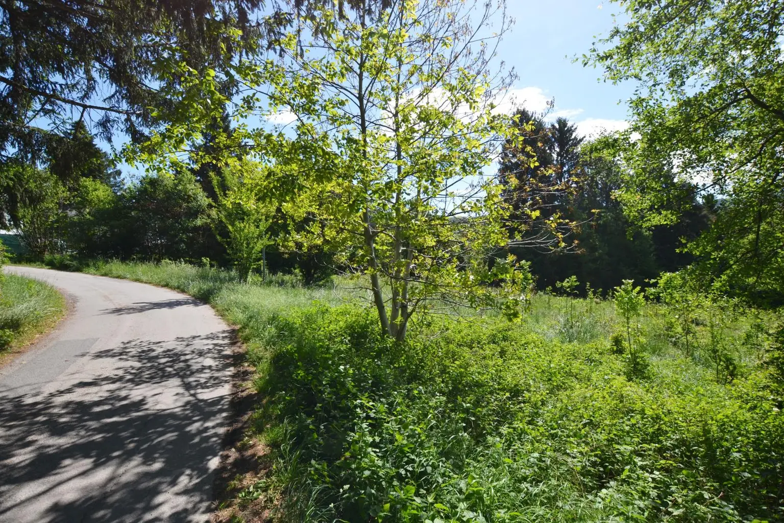 Zufahrtsstraße