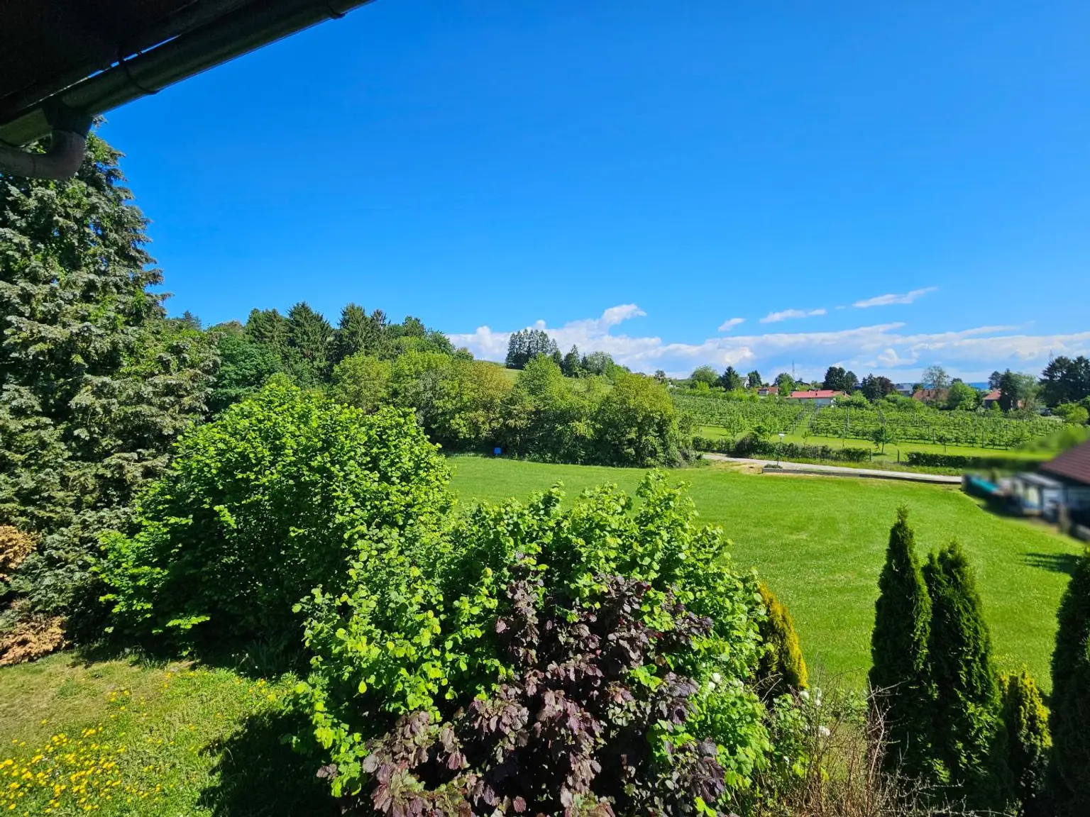 Ausblick vom Schlafzimmer OG