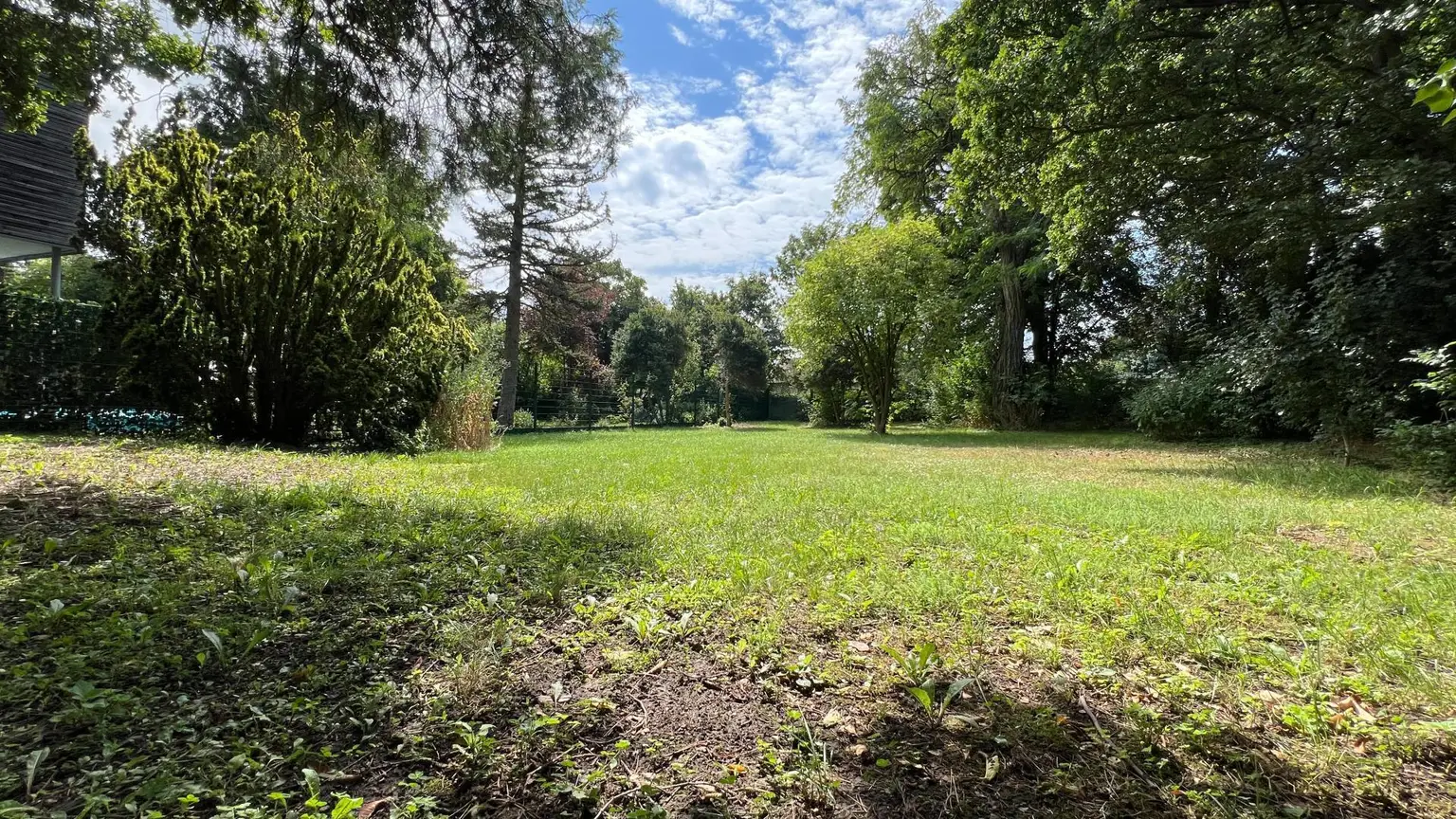 -20000434_1003896024_16040789