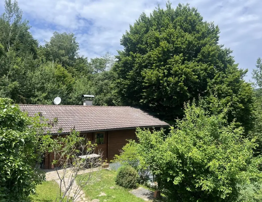 Absolute Rarität nähe Gablitz und Purkersdorf, Waldlage, 3068m² Grundstück, Doppelcarport, Ruhelage, letztes Haus in Sackgasse,