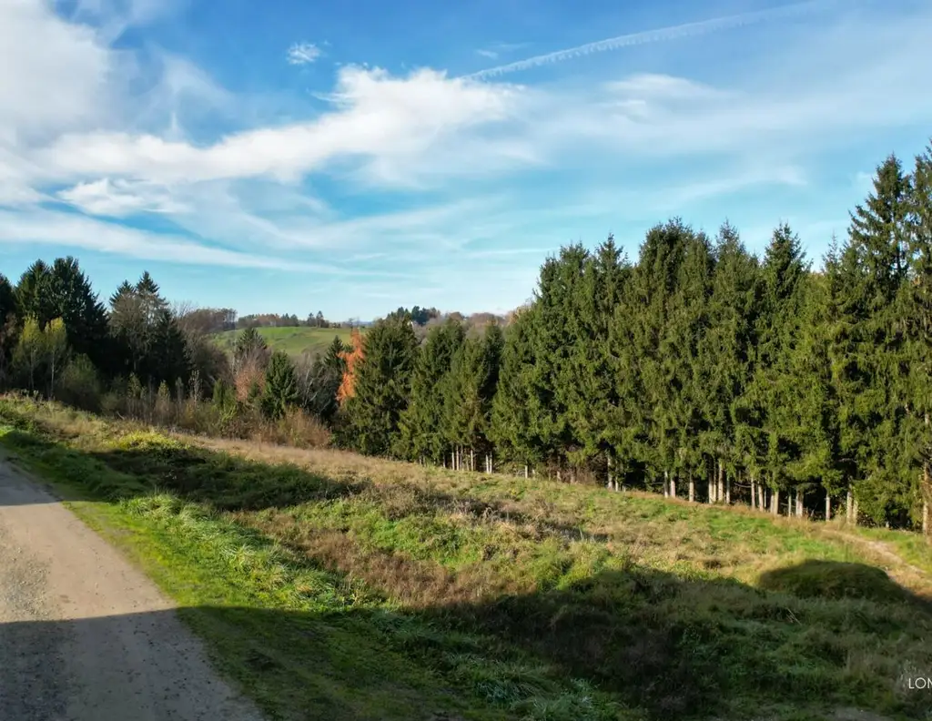 Top Preis-Leistung! Baugrund am Stadtrand zu verkaufen!