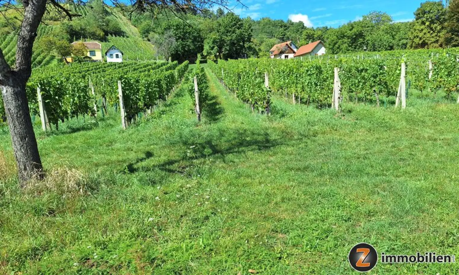 Eisenberg: Uriger Holzkeller mit Weingarten!