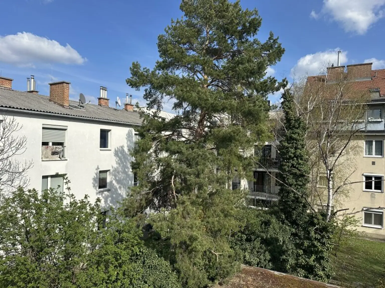 Blick in den Innenbereich