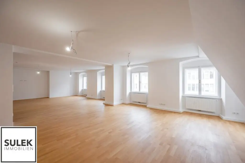VIDEO-TOUR: traumhafte 3 Zimmer DG-Wohnung mit großem Wohnsalon in Bestlage * mit Blick zum Stephansdom *