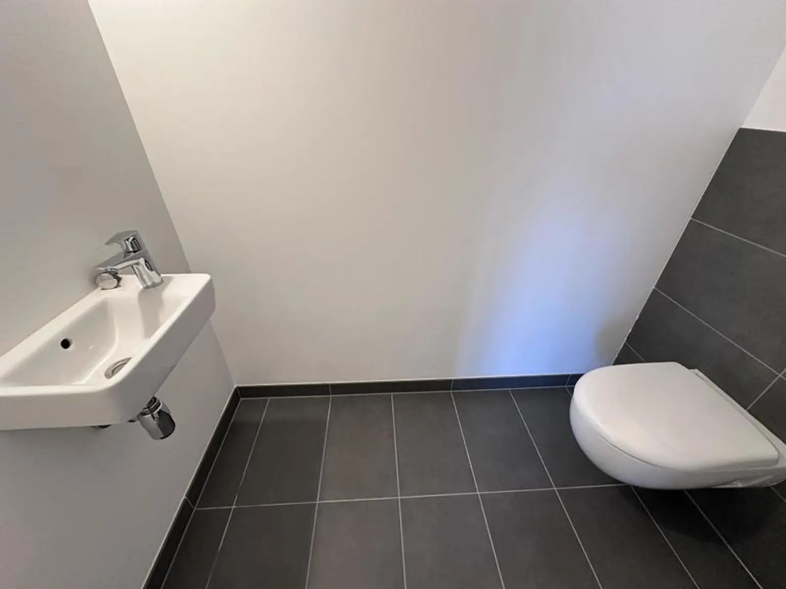 einen Katzensprung von Wien entfernt MIETE