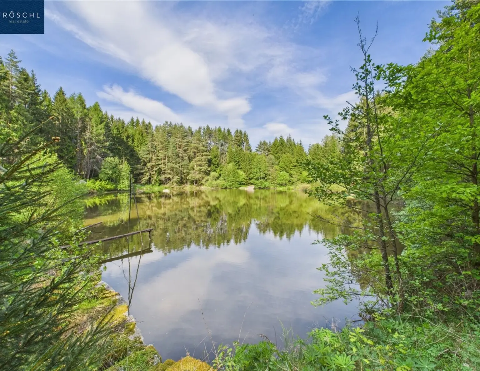 NATURJUWEL WALDVIERTEL - Professionelle Waldteichanlage 4,3 ha - ANGEBOTSVERFAHREN