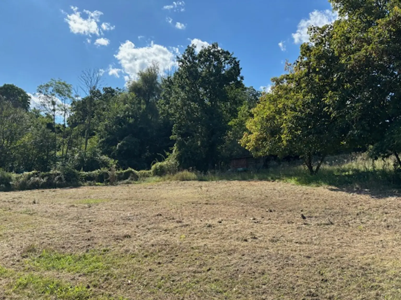 KAUFANBOT LIEGT VOR!      Wohnen im Grünen – Leben in Stadtnähe. Traumhaftes Grundstück im Wischathal!