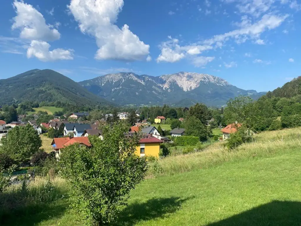 Einfamilienhaus und Gästehaus auf großem Grundstück, Pool und Schneebergblick!