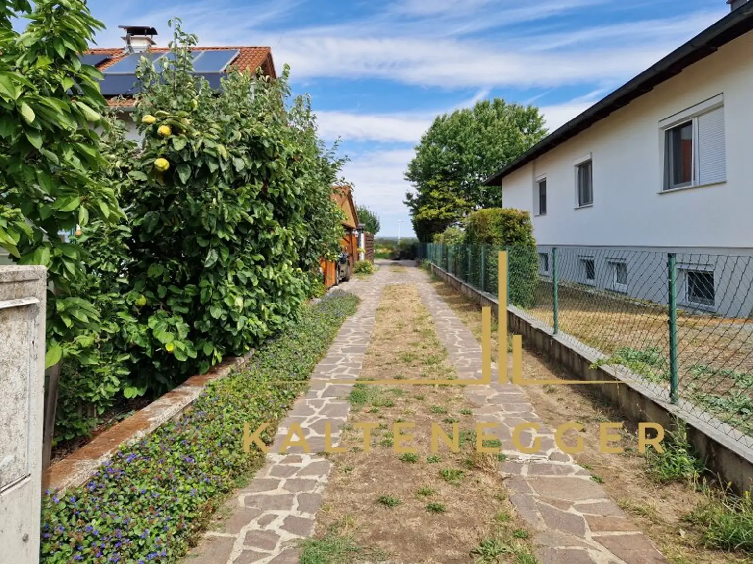 Zufahrt von der Straße zum Haus, in der hinteren Reihe