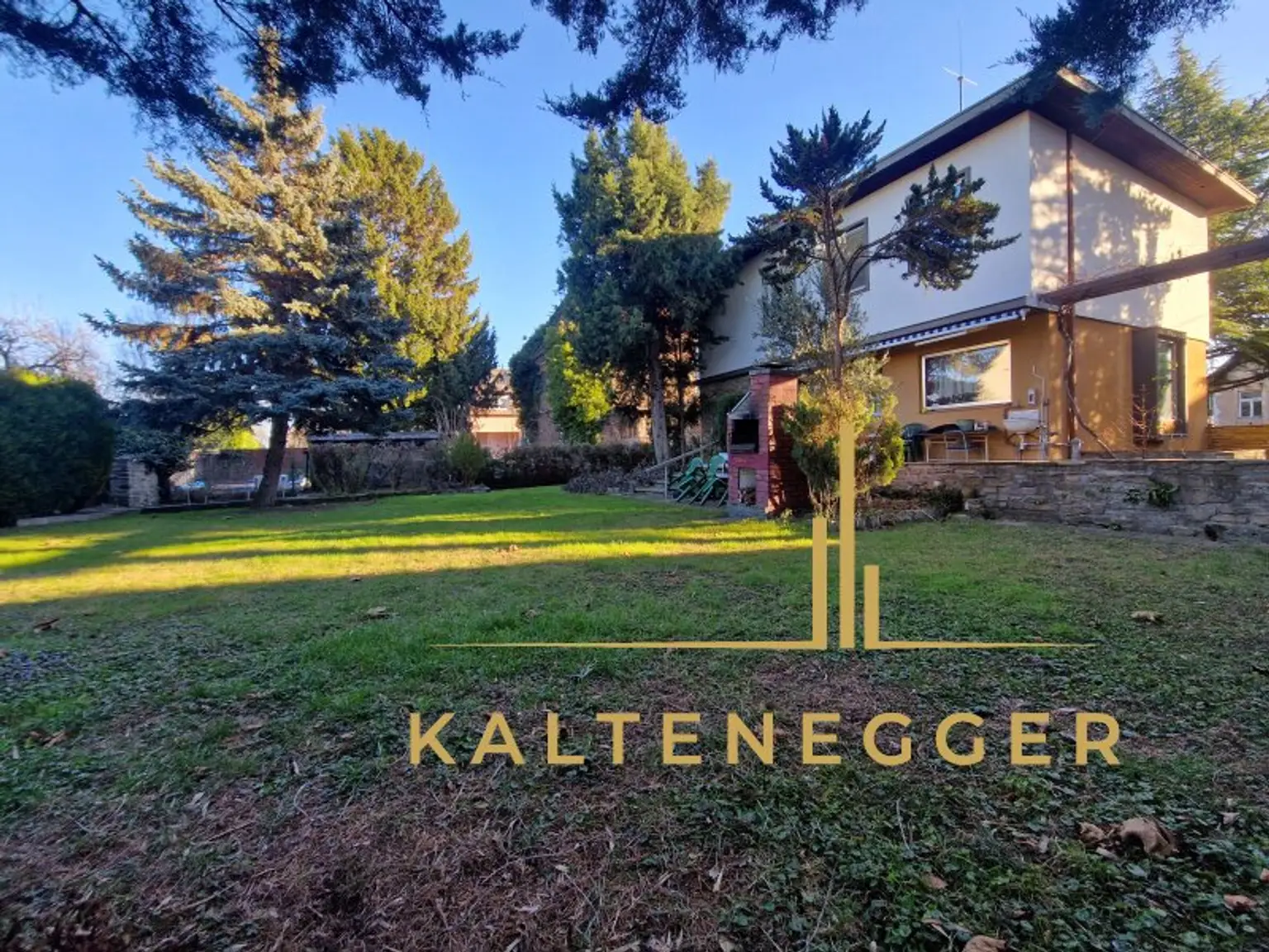 Gartenfläche hinter dem Haus