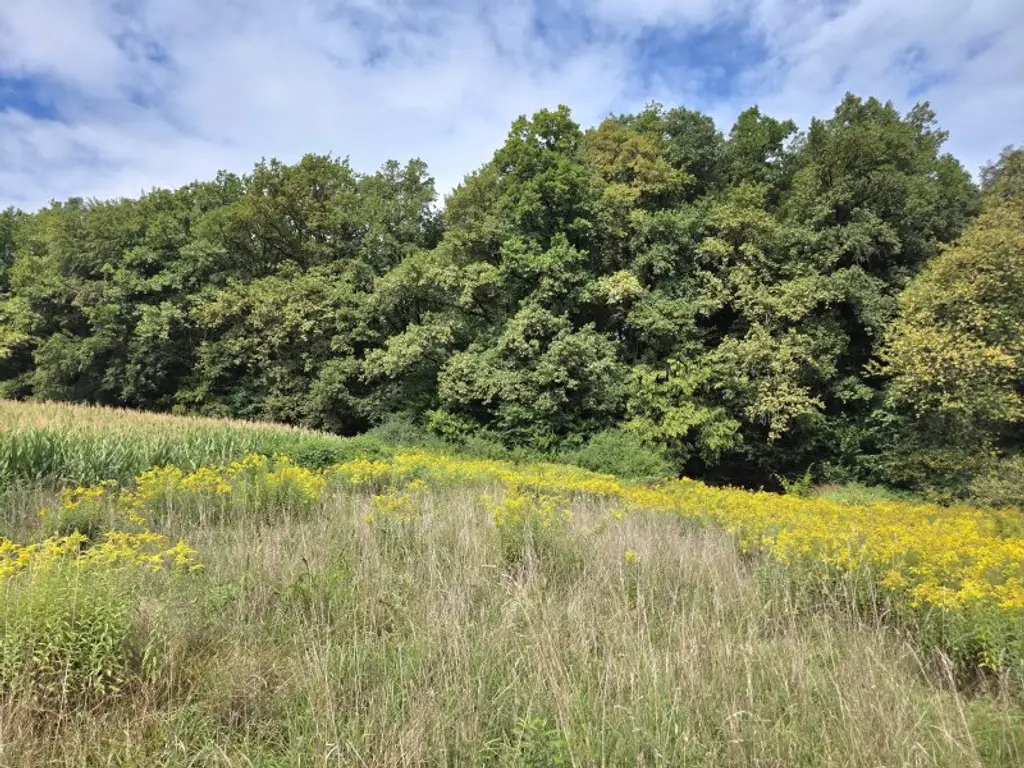 Sonniges Bauland mit Pläne und Baubewilligung!