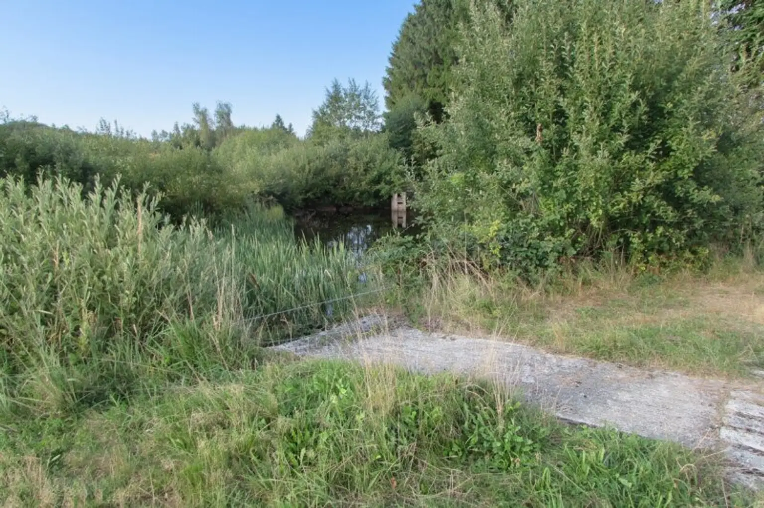 *****Fischteiche im nördlichen Waldviertel*****