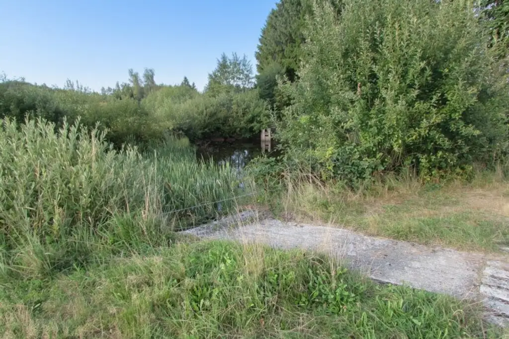 *****Fischteiche im nördlichen Waldviertel*****