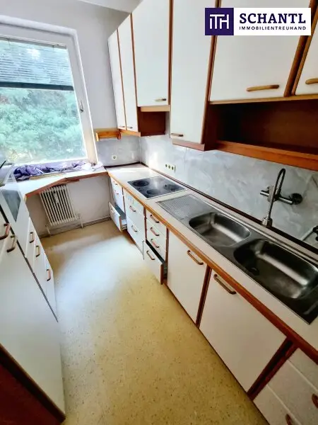 Absolute Grün- und Ruhelage! Gebraucht. Gepflegt. Geliebt! Perfekt aufgeteilte 3-Zimmer + separate Küche / 2 Balkone / Viele Möglichkeiten! Ruhig wohnen, gut leben!