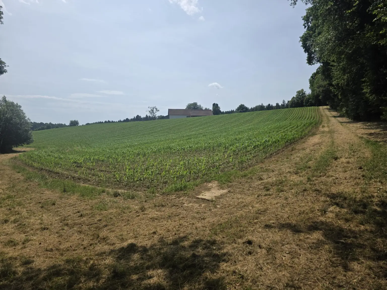 Bauernhaus (stark sanierungsbedürftig) mit viel Grund und kleinem Teich