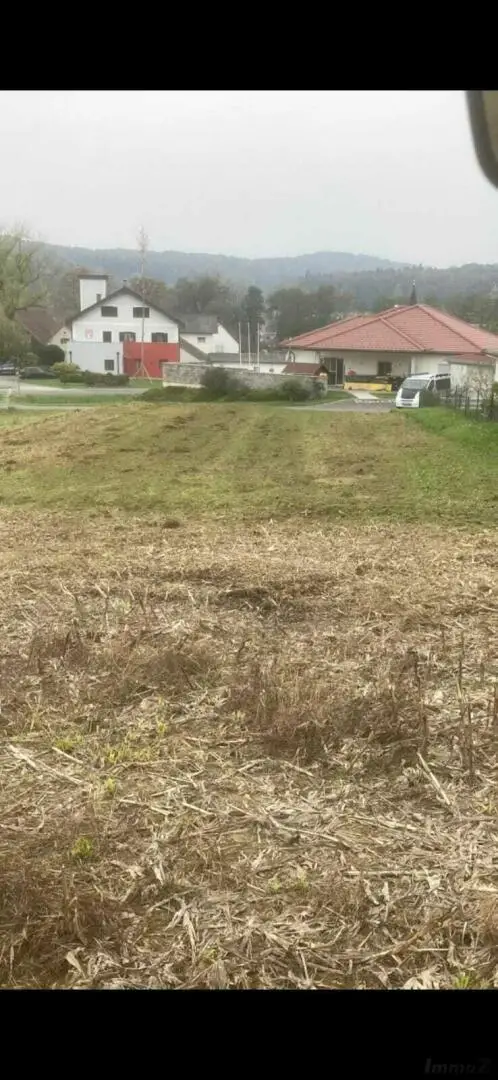 WhatsApp Image 2026-03-17 at 13.45