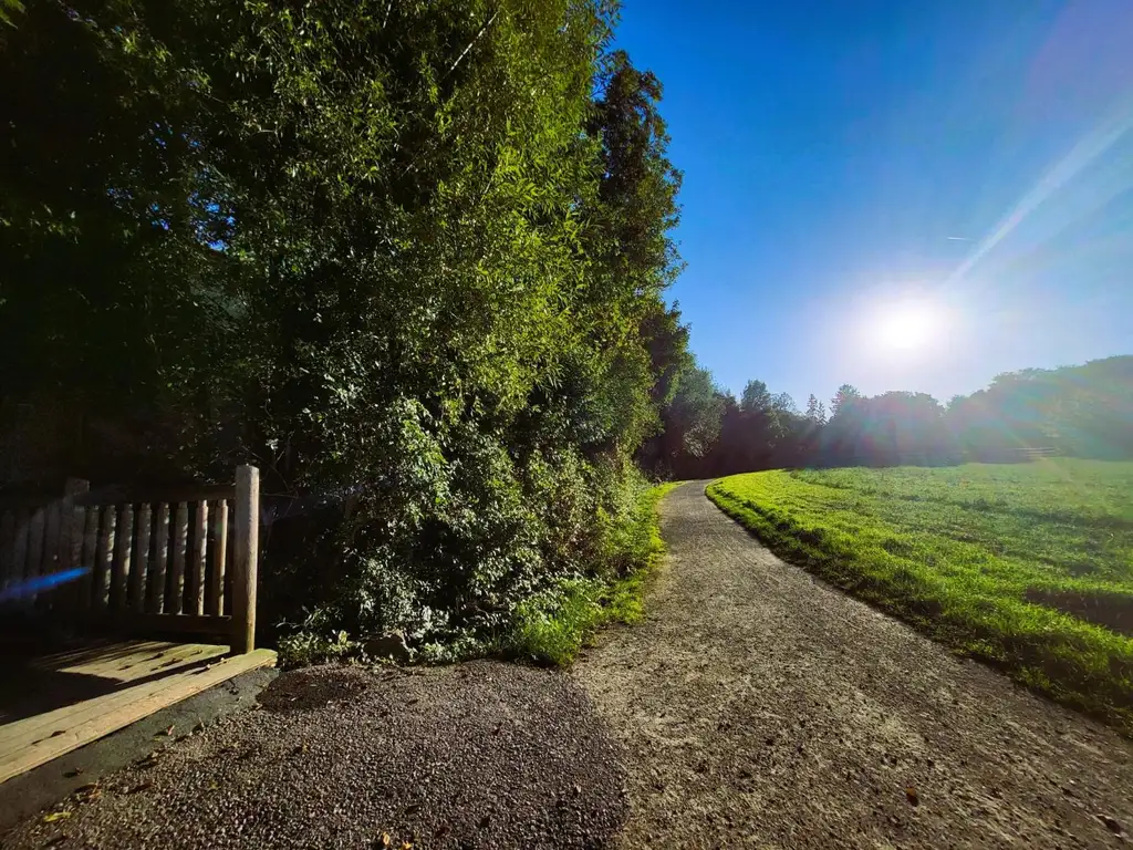 Ca. 1000m² BAUGRUND IM VIELFÄLTIG SCHÖNEN WIENERWALD-ORT GAADEN BEI MÖDLING