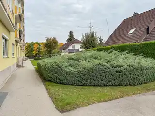 06 rückseitiger Gart