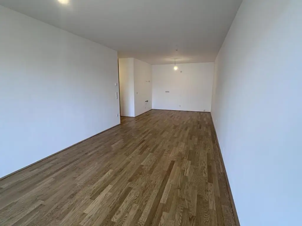 einen Katzensprung von Wien entfernt MIETE