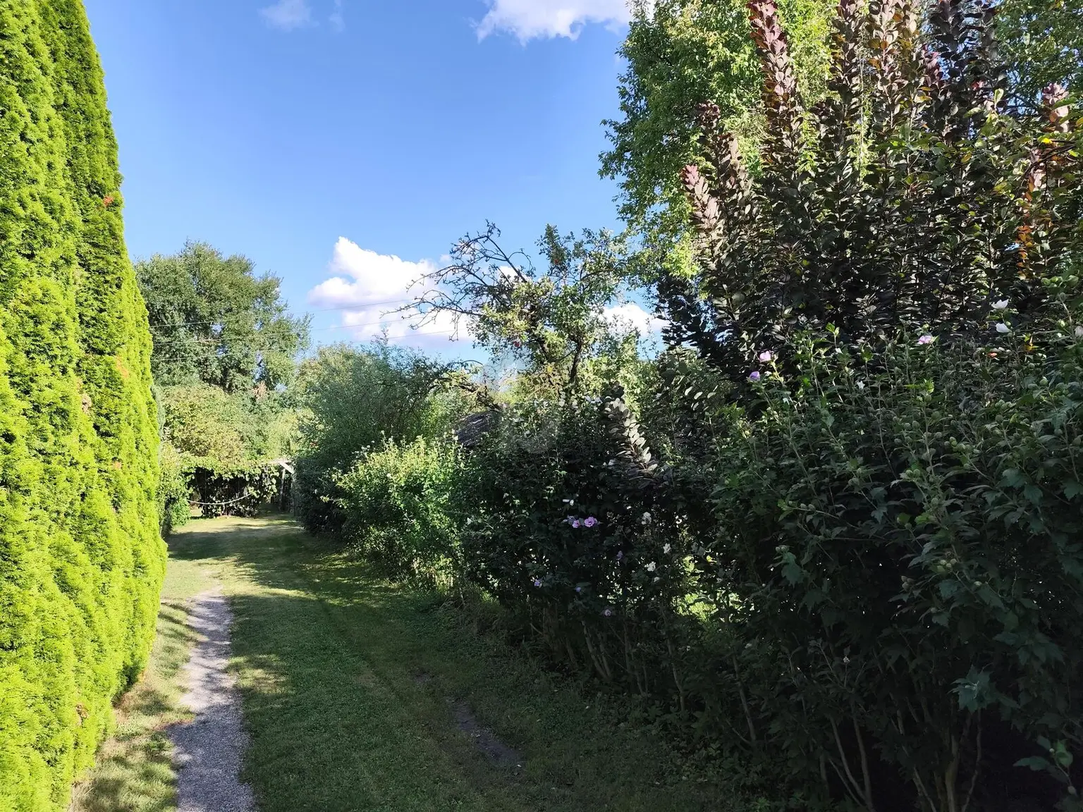 DEIN GRÜNES PARADIES WARTET: RÜCKZUGSORT MIT VIEL PLATZ