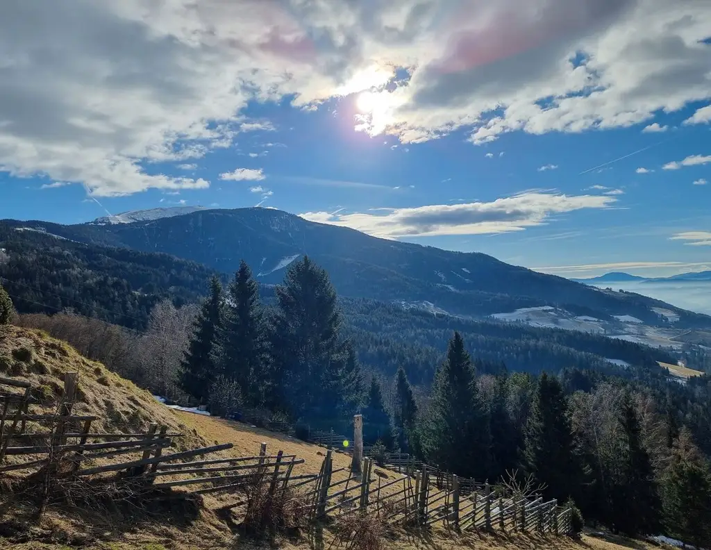 Exklusives Naturchalet auf der Koralpe - Ihr perfekter Zweitwohnsitz in Kärnten