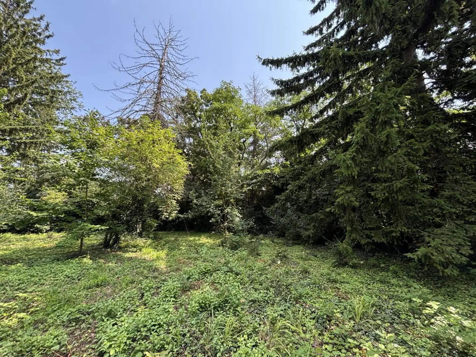 [06652] Projektchance in Theresienfeld: Baugrund mit Naturcharme