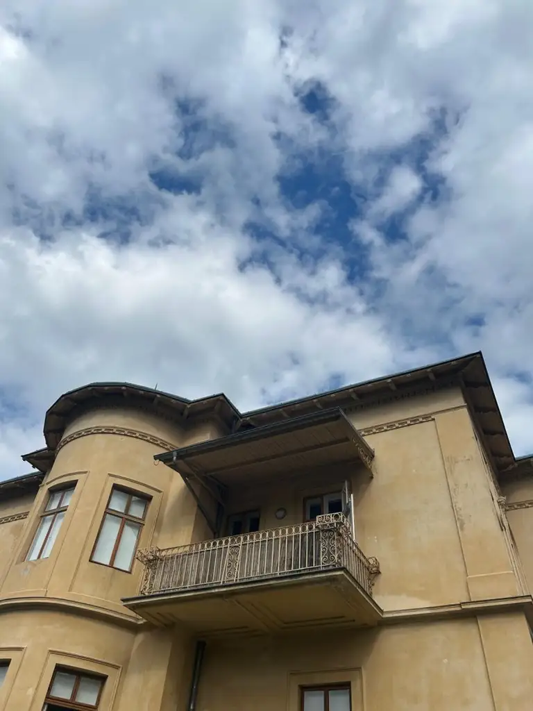 Historische Villa ALMEROTH im Stadtzentrum- Wohnen auf 250 m2 im OG plus 4 Untermieter