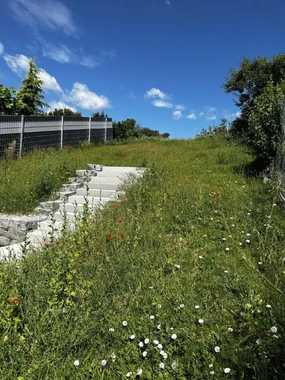 Befristet vermietetes Einfamilienhaus in Forchtenstein zu kaufen! Beziehbar ab 02.09.2026!