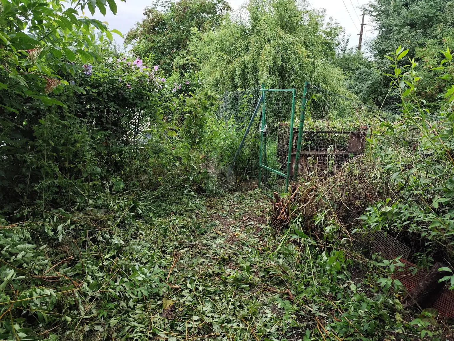 DEIN GRÜNES PARADIES WARTET: RÜCKZUGSORT MIT VIEL PLATZ