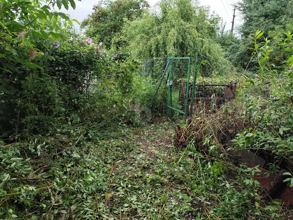 DEIN GRÜNES PARADIES WARTET: RÜCKZUGSORT MIT VIEL PLATZ