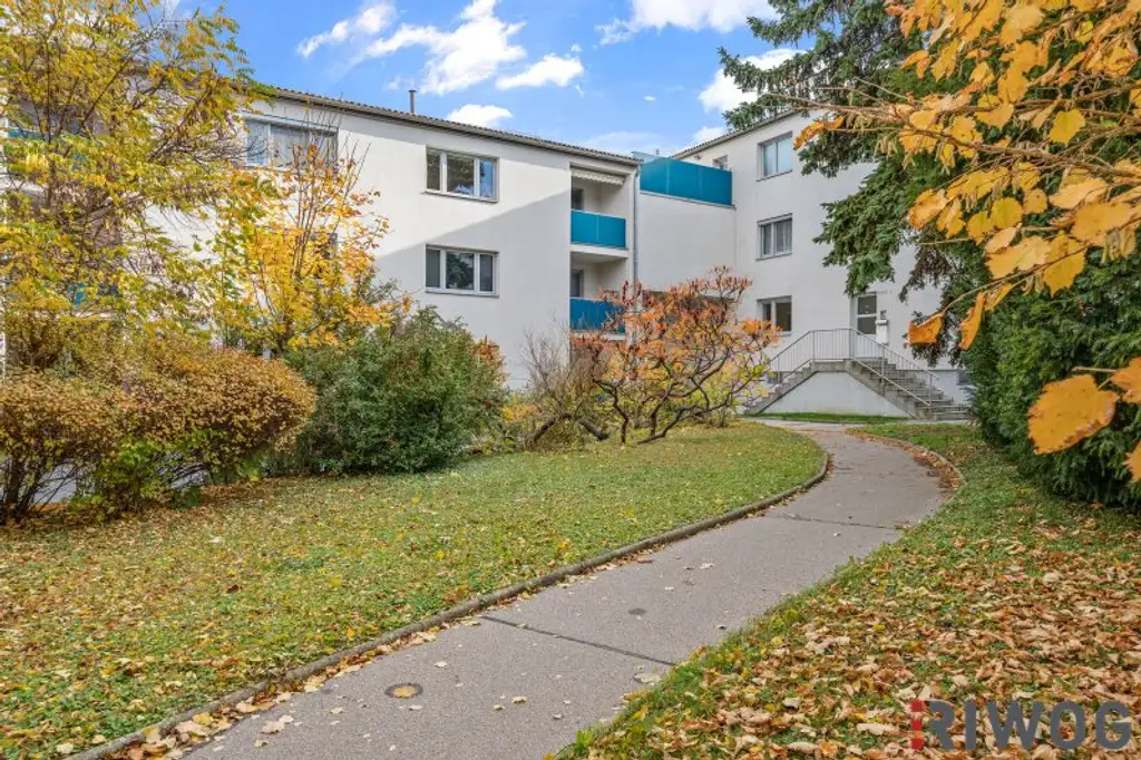 4 Zimmer - Loggia - Stellplatz - Top Infrastruktur- Ruhelage nahe dem Maurer Berg