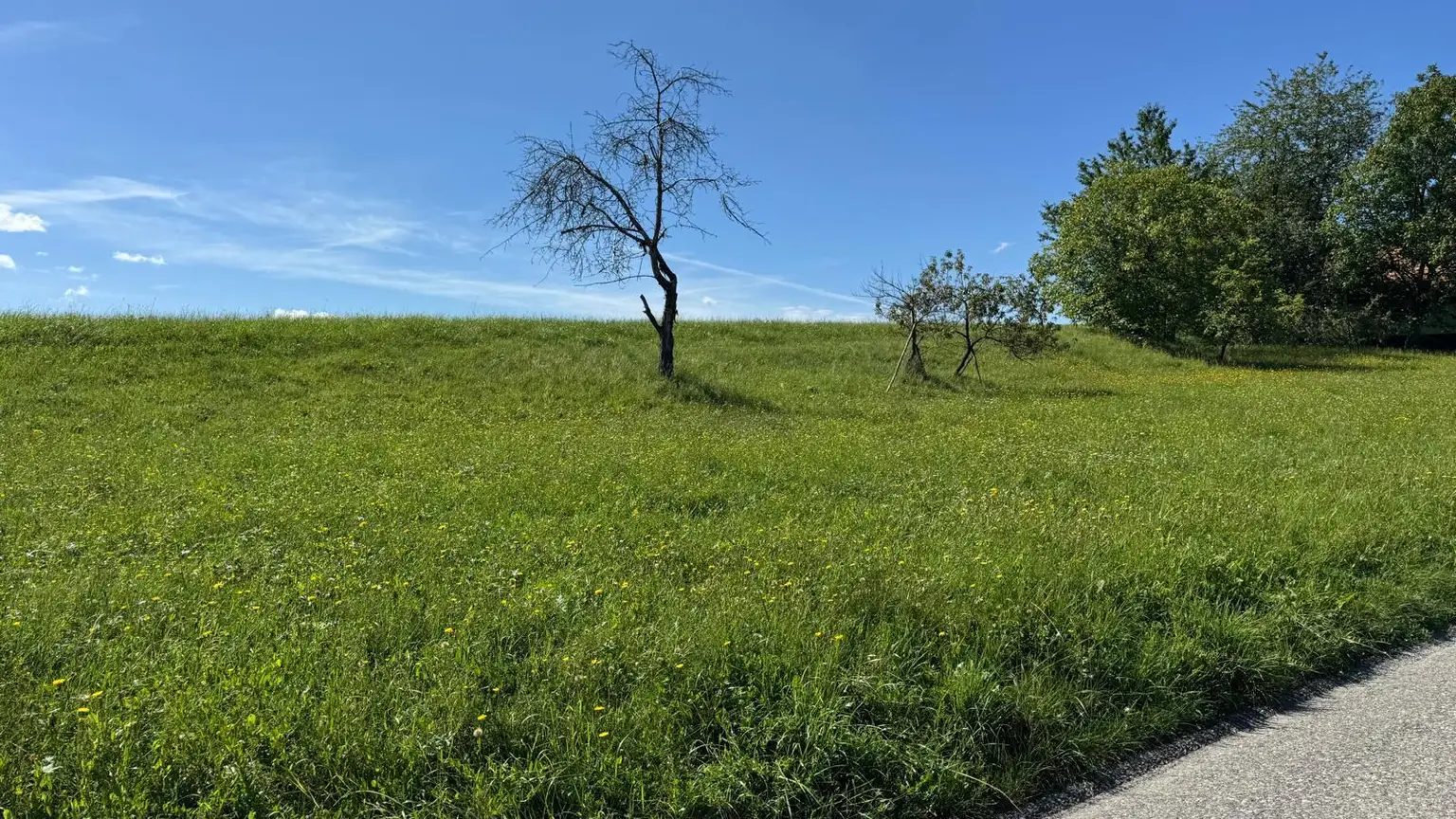 Sonniges Baugrundstück in idyllischer Lage – Edelsgrub, 8302 Nestelbach