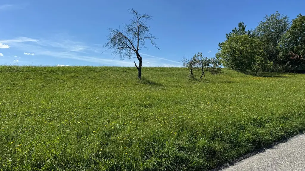 Sonniges Baugrundstück in idyllischer Lage – Edelsgrub, 8302 Nestelbach