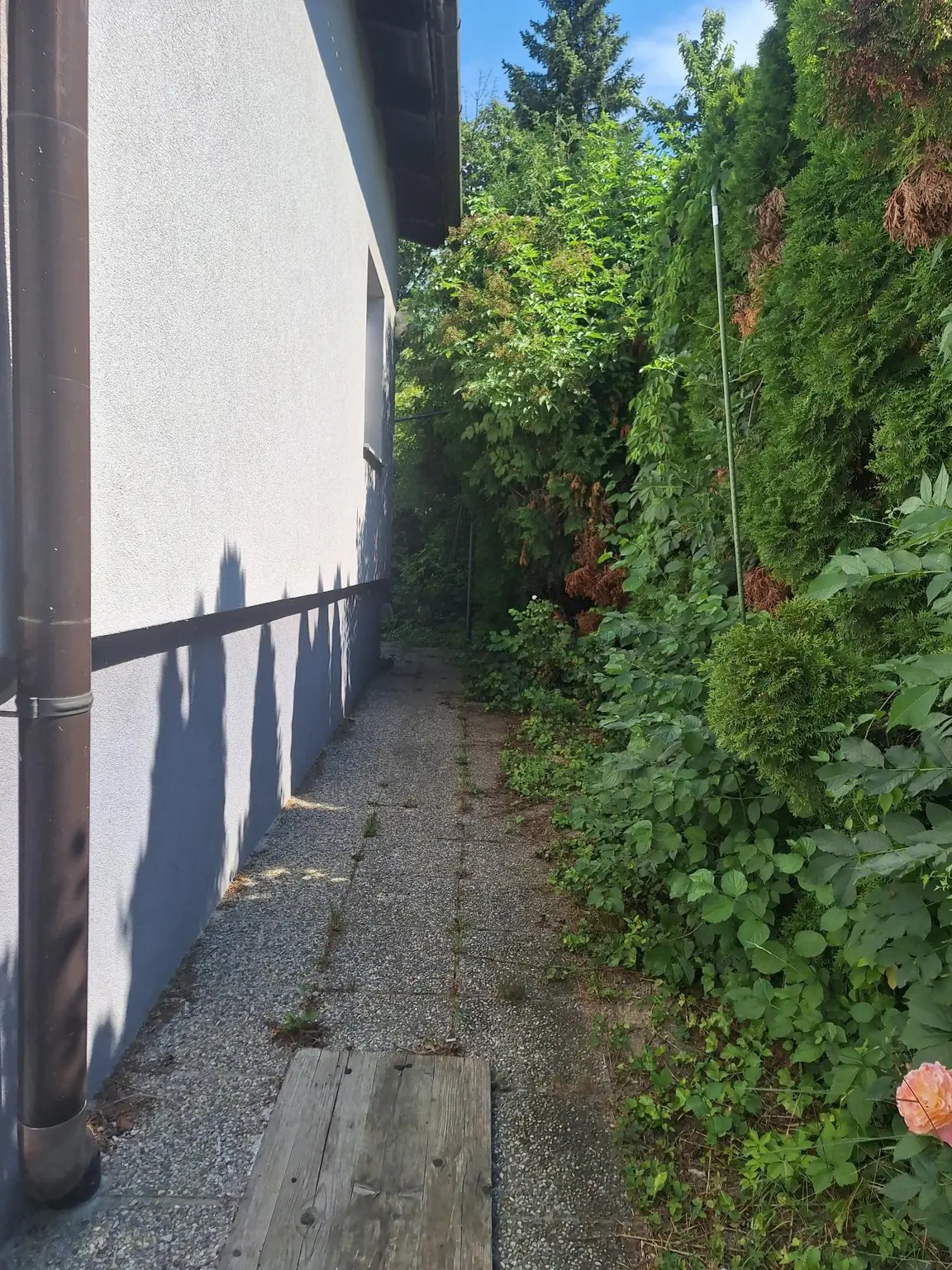 LIEBEVOLL SANIERTER BUNGALOW IN BEGEHRTER WOHNLAGE SAMT HOHER LEBENSQUALITÄT UND GUTER VERKEHRSANBINDUNG