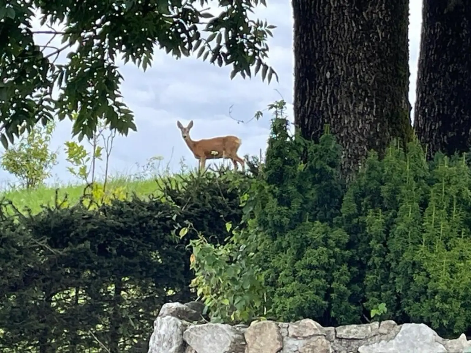 Großzügiges Familiendomizil in herrlicher Panoramalage!