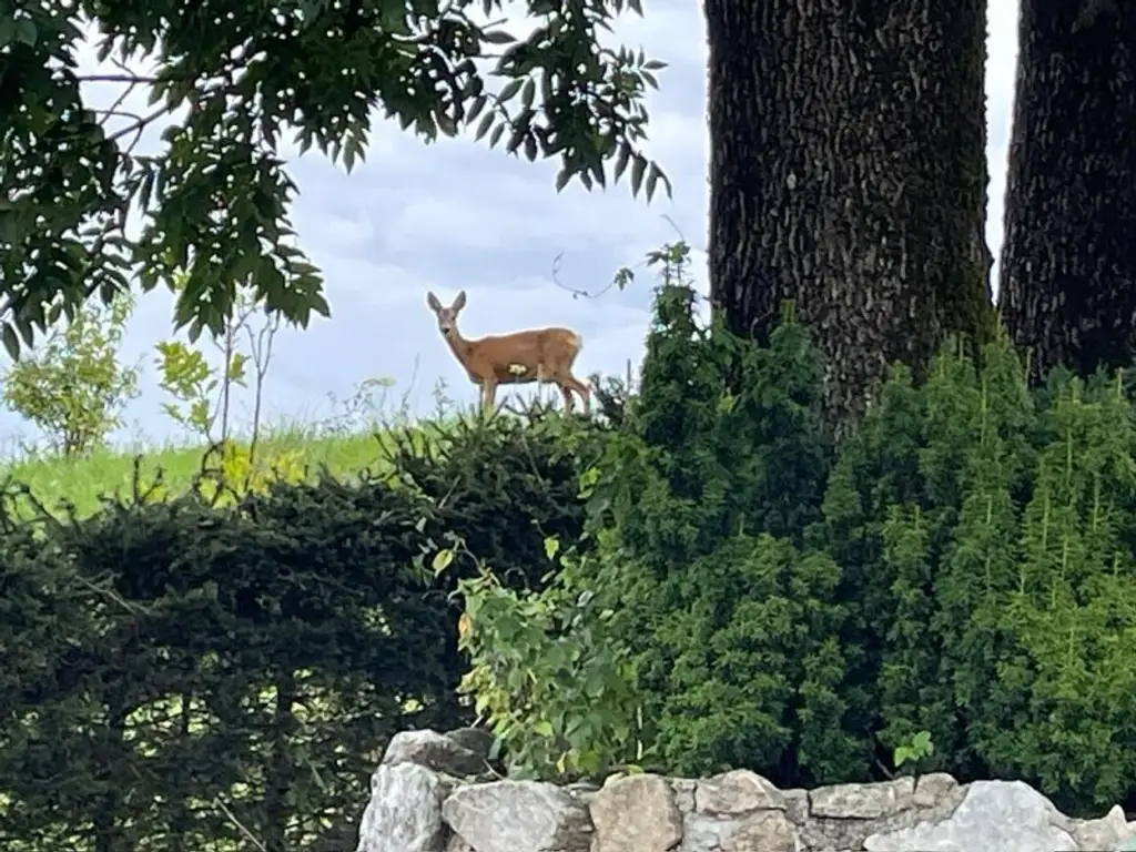 Großzügiges Familiendomizil in herrlicher Panoramalage!