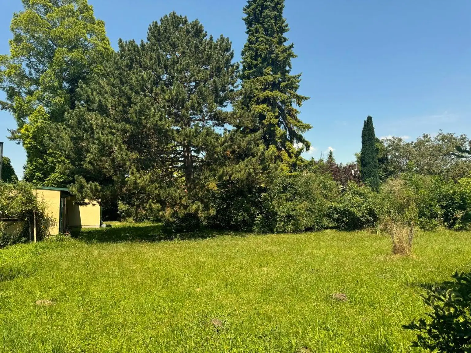 "Einfamilienhaus mit 2535m² großem Grundstück!"