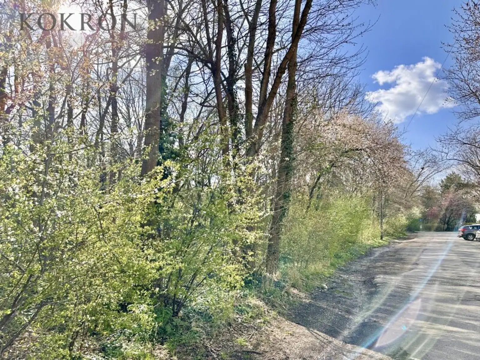 Der Rote Berg vor der Haustüre