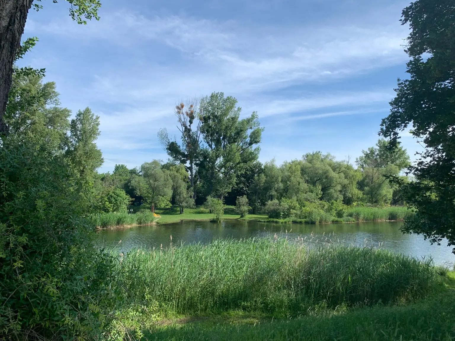 Exklusives Grundstück in Traumlage am Mühlwasser
