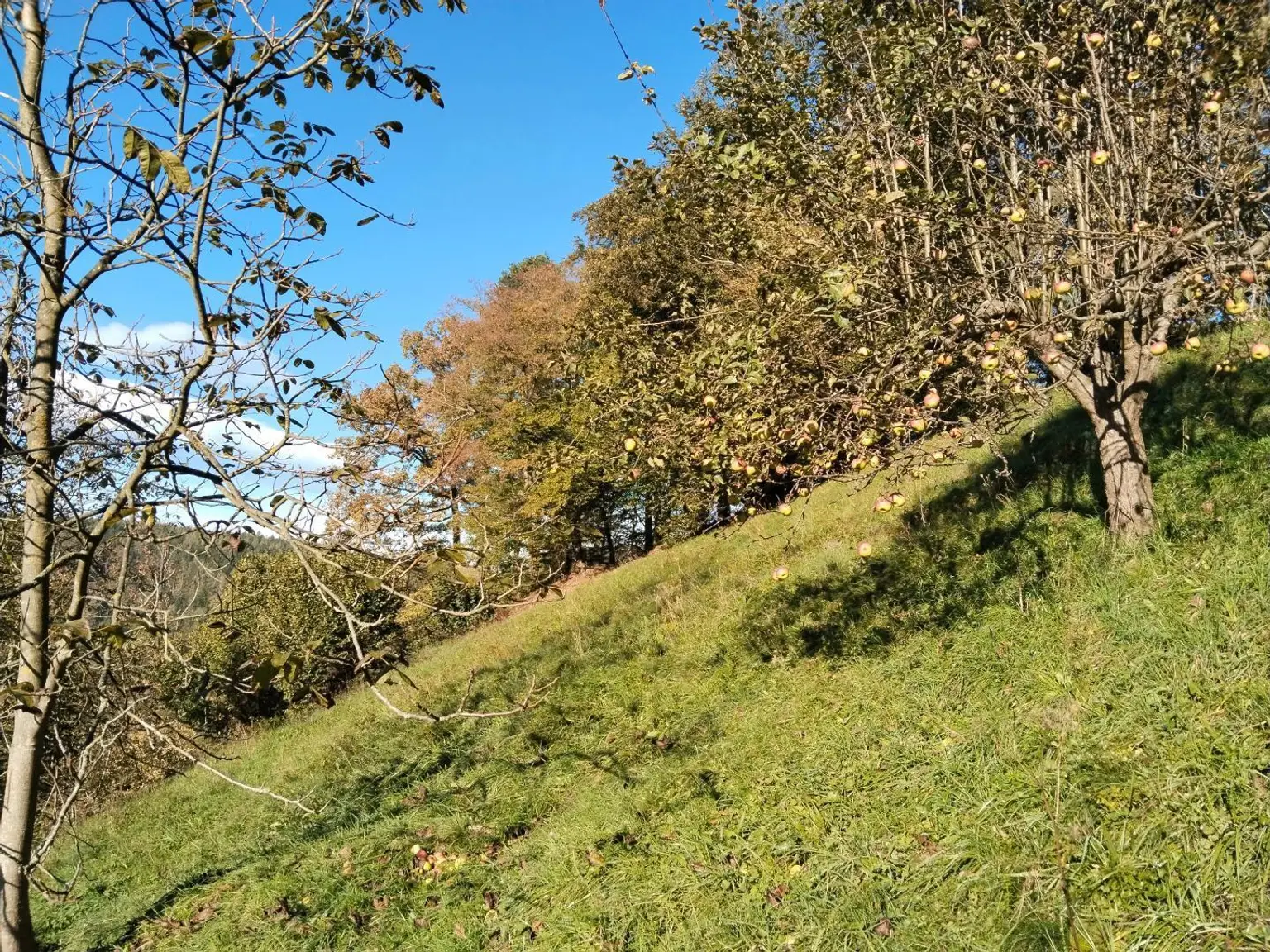 Ansicht Nord