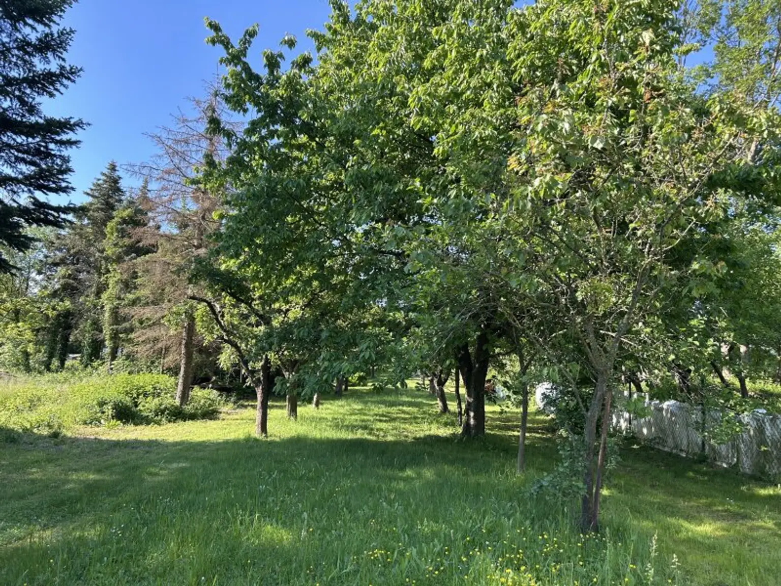 +++Charmantes Mehrfamilienhaus mit weitläufigem Naturgarten und vielseitigen Nutzungsmöglichkeiten!+++