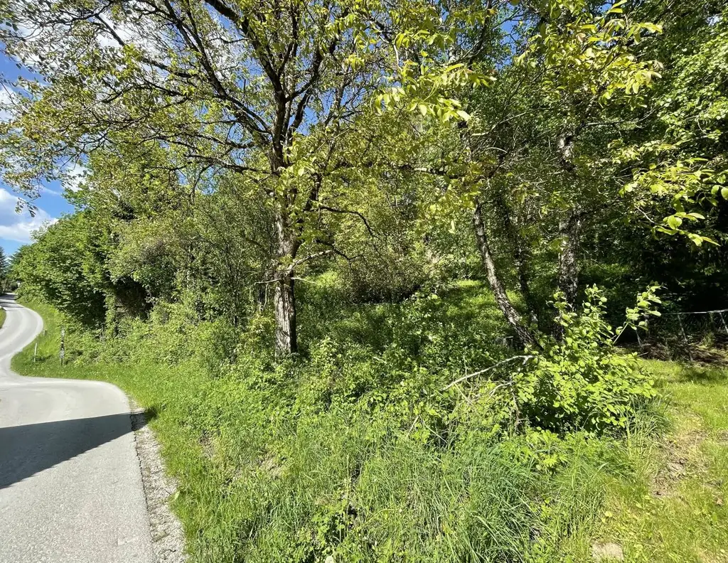 Baugrundstück am Sonnenhang in sonniger und ruhiger Lage