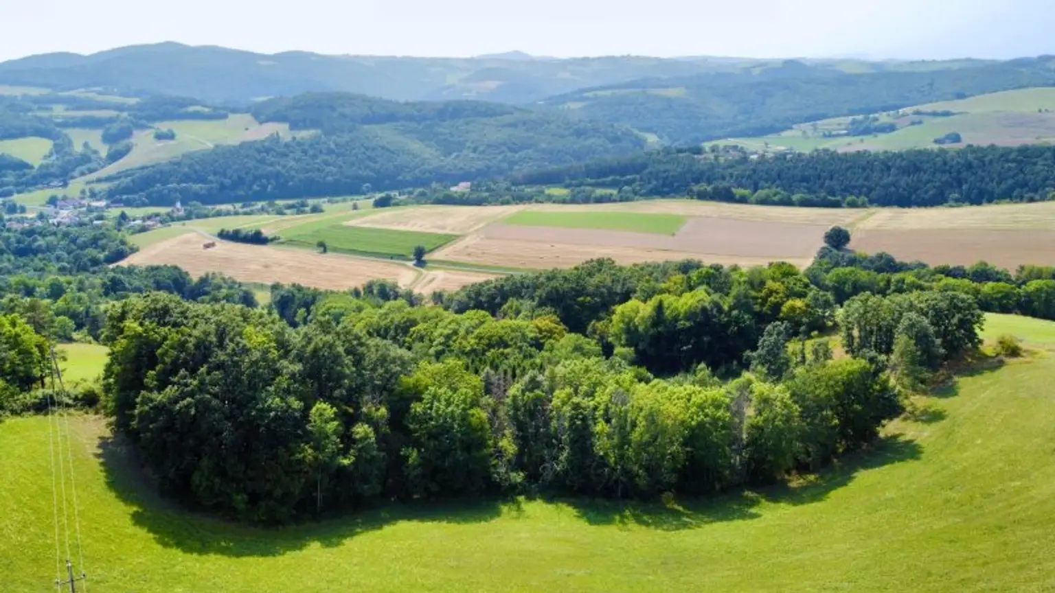 Grundstück mit Baumbestand für landwirtschaftliche Zwecke | 60.053 m² | Schwarzenbach in der Buckligen Welt