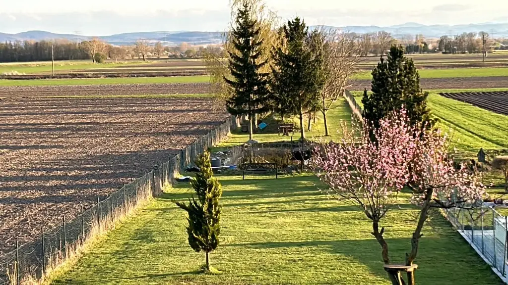 "Energieeffiziente Villa in schöner Lage"