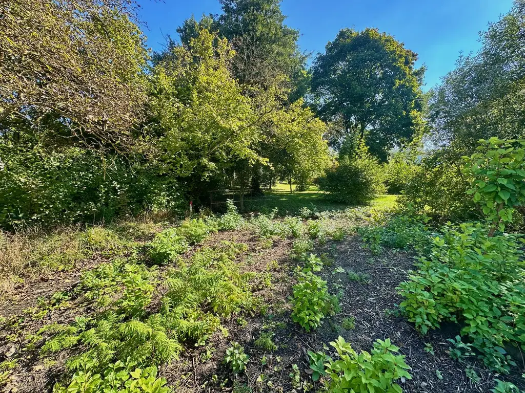 Sonniges Baugrundstück im Ortsgebiet Lanzendorf bei Mistelbach!
