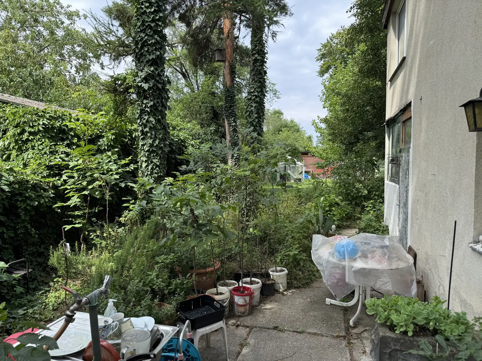 Exklusives Grundstück in Traumlage am Mühlwasser