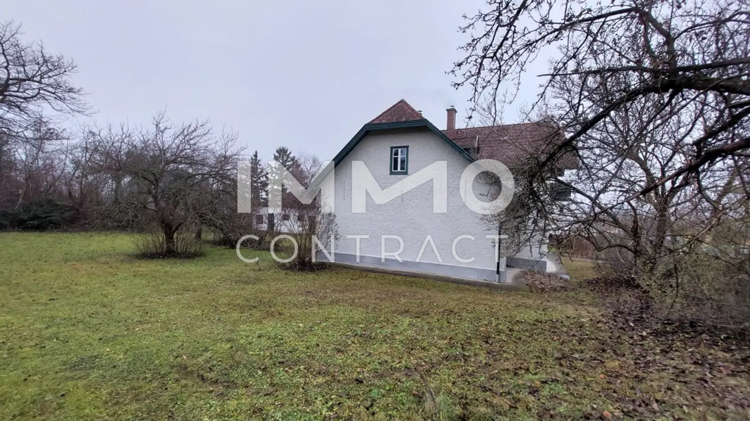 WhatsApp Image 2a026-01-22 at 00.05.53