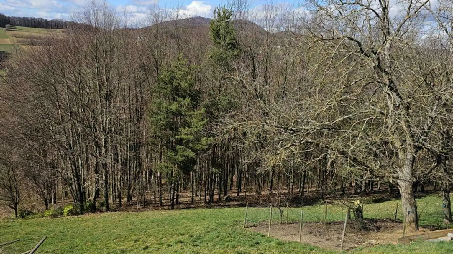 ** Geschmackvolles Zweifamilienwohnhaus - ca. 19ha LW-Fläche mit Wald ** unvergleichbarer Panoramablick auf Schloss Kapfenstein und das steirische Hügelland **
