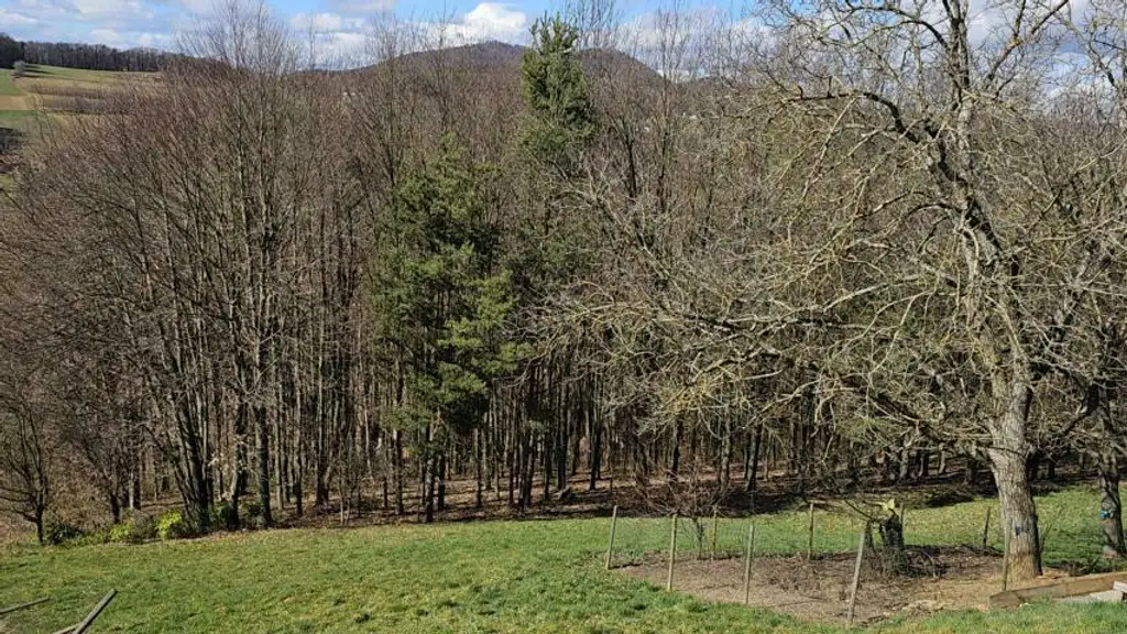 ** Geschmackvolles Zweifamilienwohnhaus - ca. 19ha LW-Fläche mit Wald ** unvergleichbarer Panoramablick auf Schloss Kapfenstein und das steirische Hügelland **